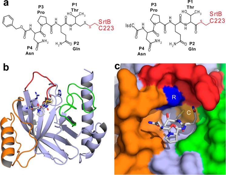 FIGURE 1.