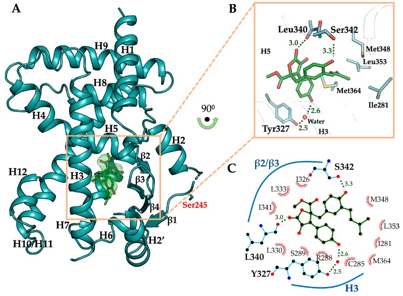 Figure 4