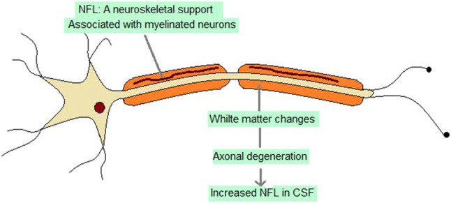 Fig. 5