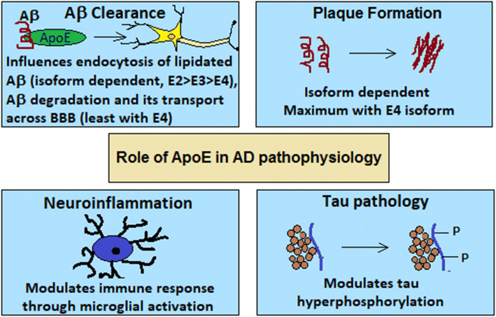 Fig. 3