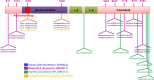 Figure 4—figure supplement 1.