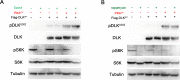 Figure 3—figure supplement 2.