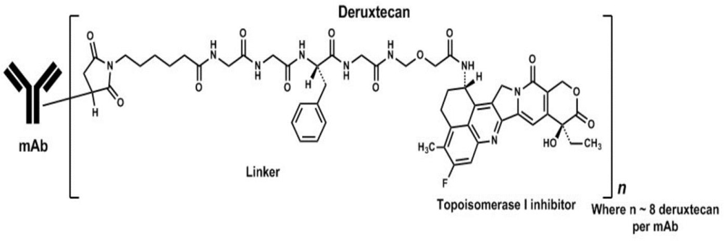 Figure 1: