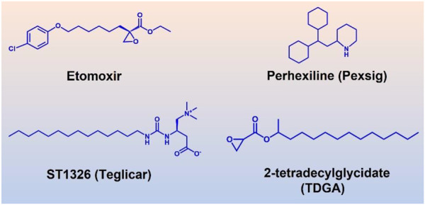 FIGURE 9