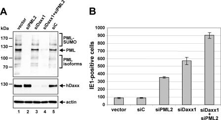 FIG. 8.