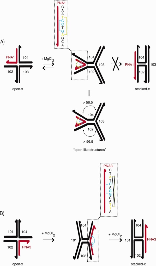 Figure 8