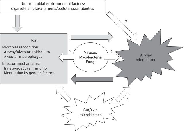 FIGURE 1