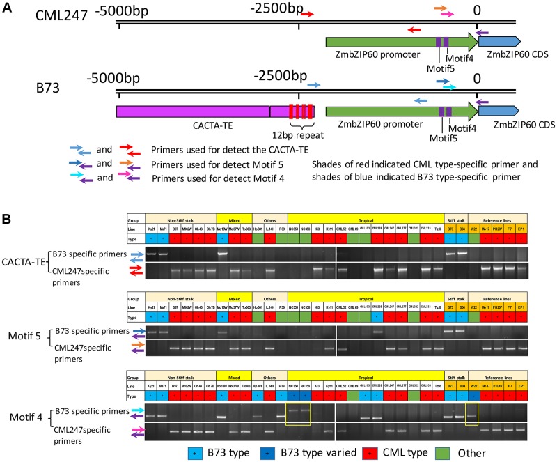 FIGURE 4