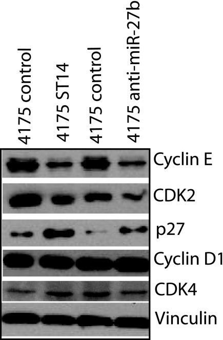 FIGURE 10.