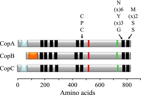 FIG. 1.