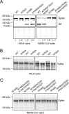 FIG 2