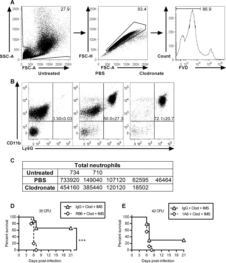 FIG 5