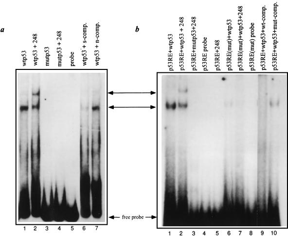 FIG. 5