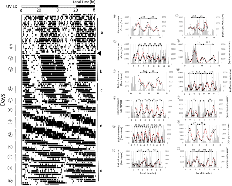 Fig. 3