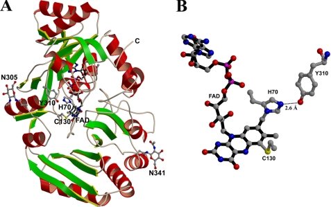 FIGURE 1.