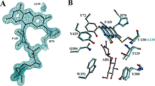 FIGURE 7.