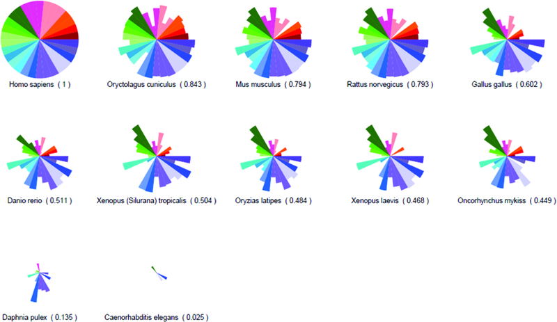 Figure 2: