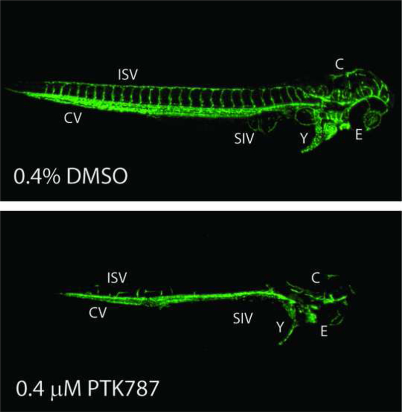 Figure 3: