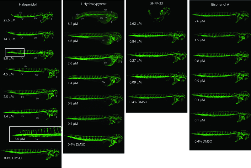 Figure 3: