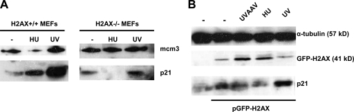 FIG. 7.