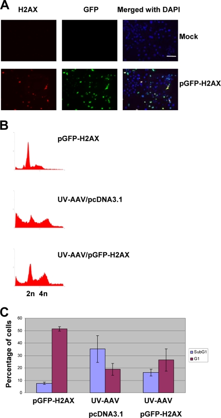 FIG. 6.