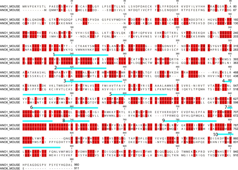 Figure 6—figure supplement 2.