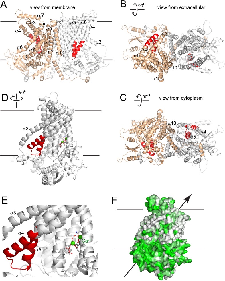 Figure 9.