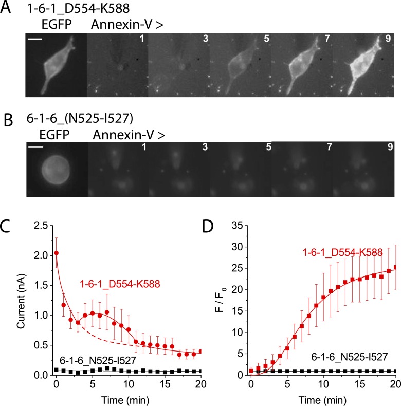 Figure 7—figure supplement 1.