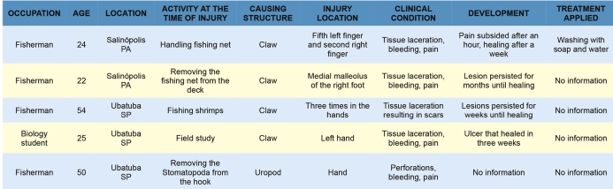 Injuries in humans caused by mantis shrimp or siriboia (Crustacea ...