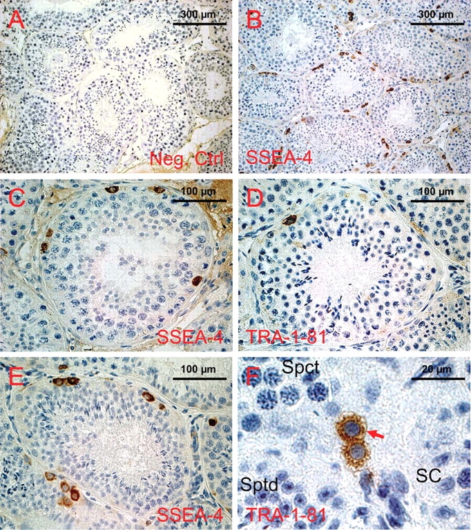 Figure 2: