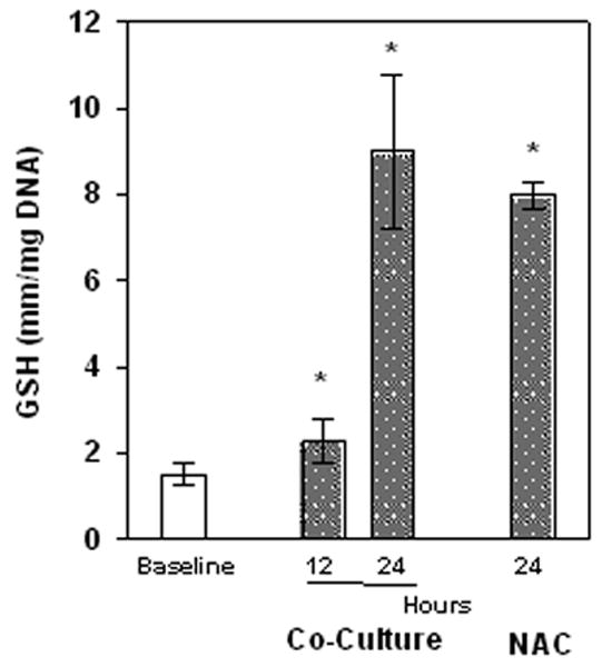 Fig.4