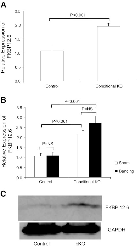 Fig. 9.