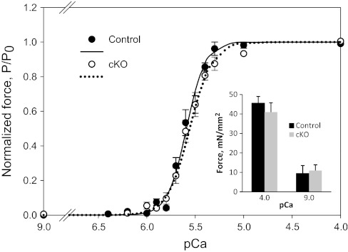 Fig. 8.