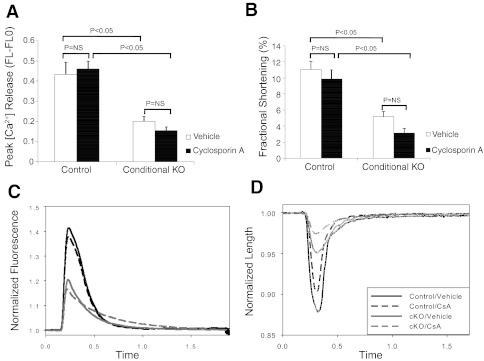 Fig. 11.