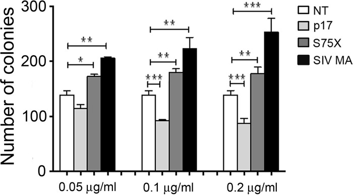 FIG 6