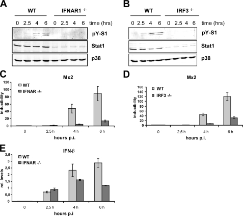 FIGURE 4.