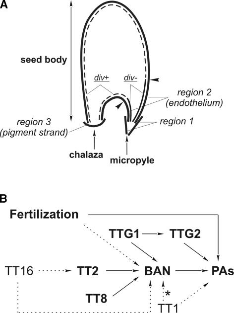 Figure 9.