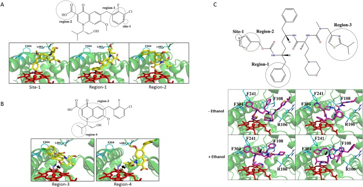 Fig 6