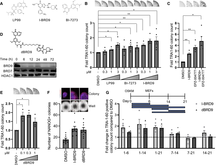 Figure 2