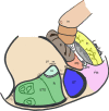 Fig. 1