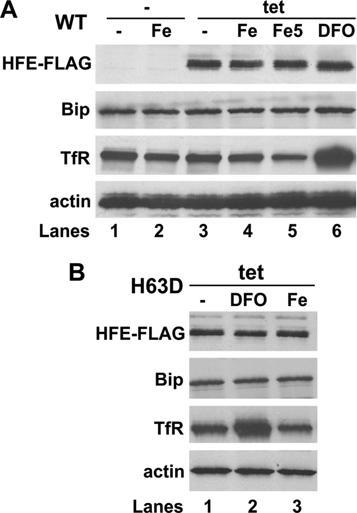 FIGURE 10.