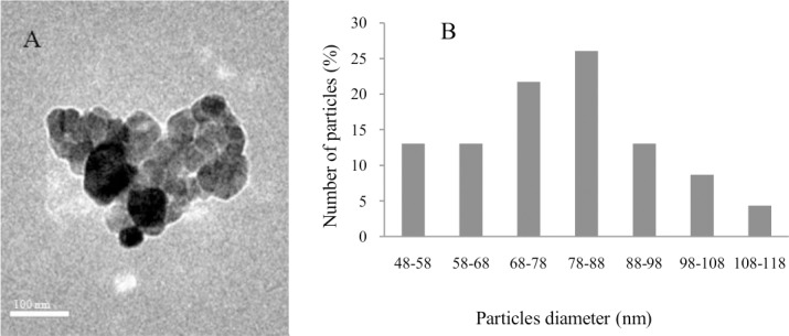 Fig 1