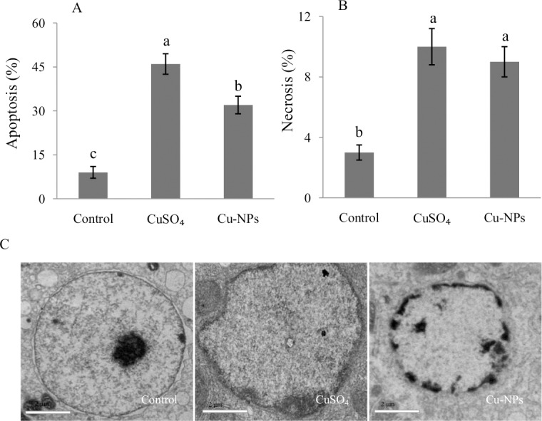 Fig 4