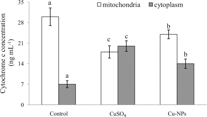 Fig 5