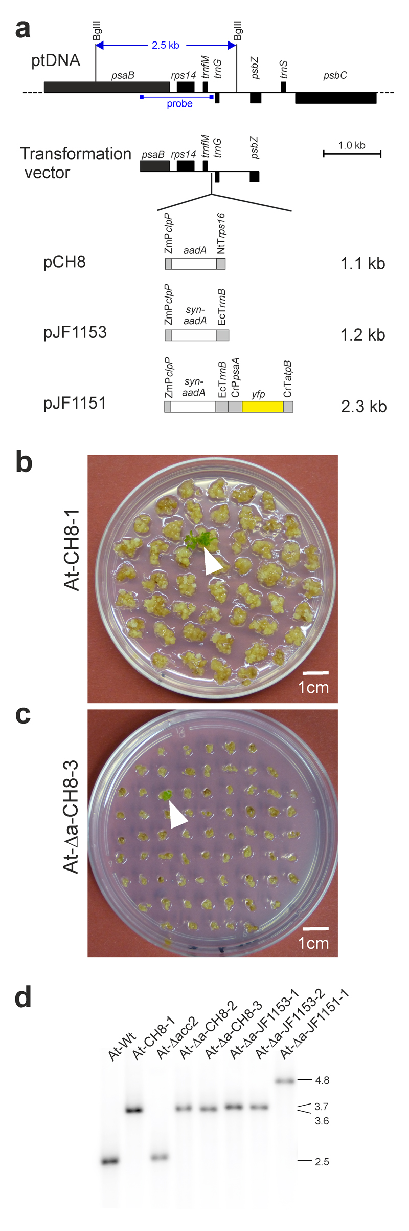 Fig. 2