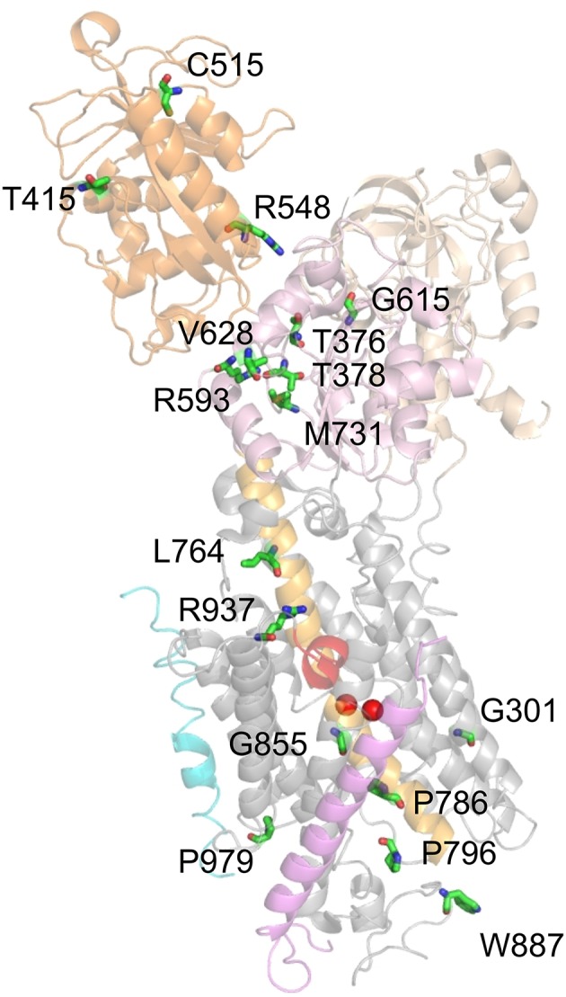 Figure 7