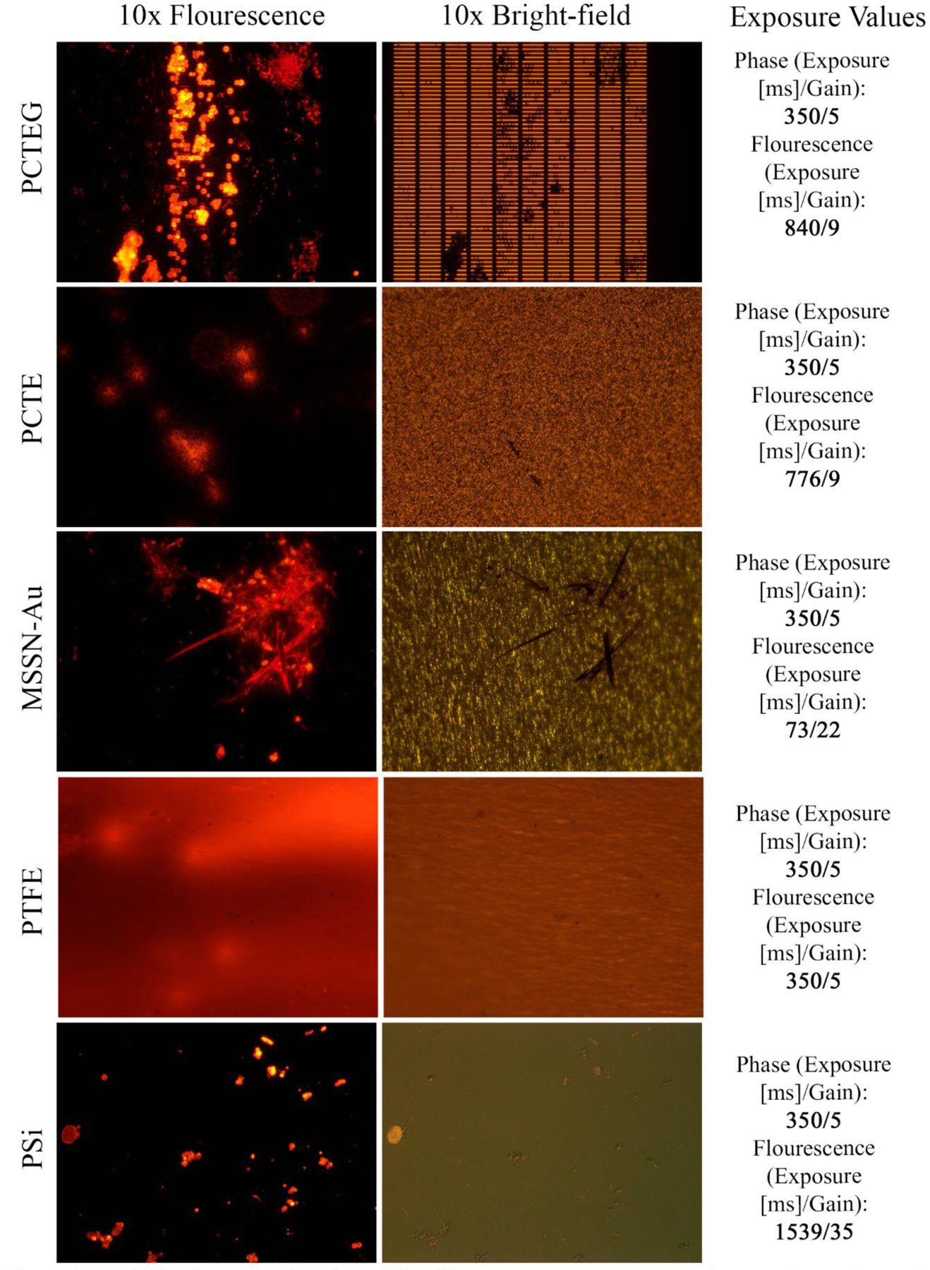 Figure 2: