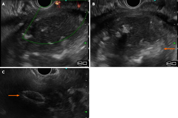 Figure 7