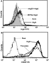 Fig. 3.