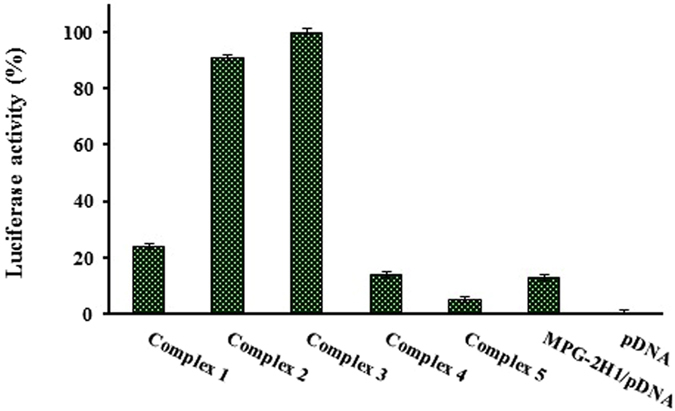 Figure 11